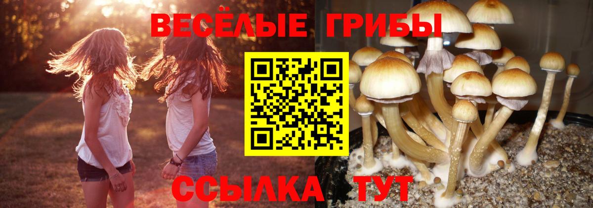 Галлюциногенные грибы мицелий Сергиев Посад