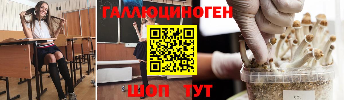 Псилоцибиновые грибы GOLDEN TEACHER  Псилоцибиновые грибы ЛСД  Вход с VPN  Сергиев Посад 